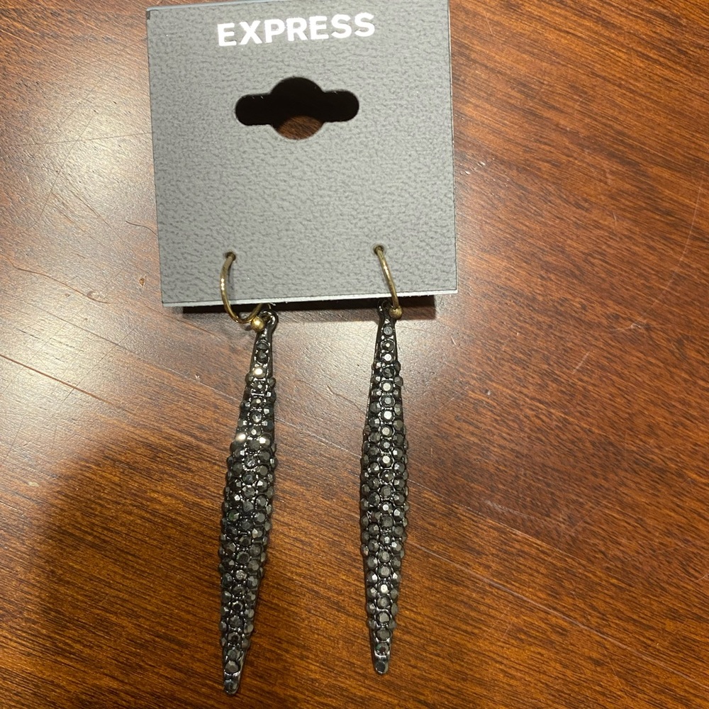 Express Earrings